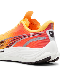 Chaussures de running - Velocity Nitro 3 FADE Men