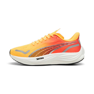 Chaussures de running - Velocity Nitro 3 FADE Men