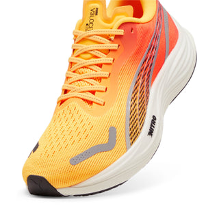 Chaussures de running - Velocity Nitro 3 FADE Men